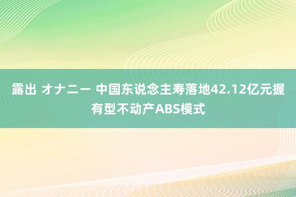 露出 オナニー 中国东说念主寿落地42.12亿元握有型不动产ABS模式