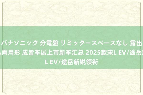 パナソニック 分電盤 リミッタースペースなし 露出・半埋込両用形 成皆车展上市新车汇总 2025款宋L EV/途岳新锐领衔