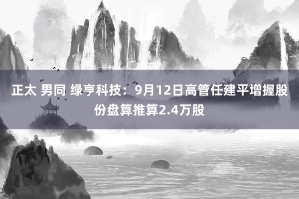 正太 男同 绿亨科技：9月12日高管任建平增握股份盘算推算2.4万股