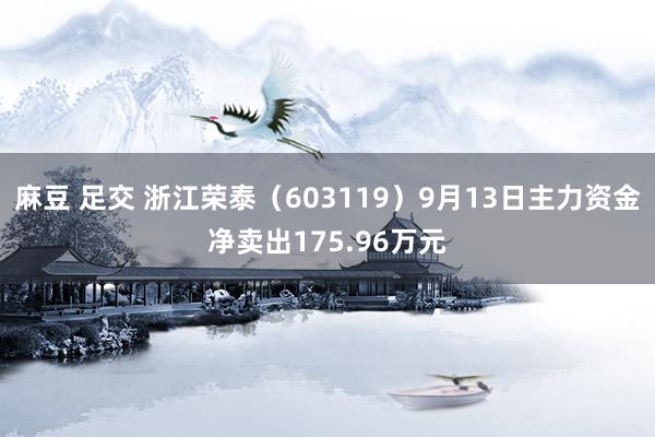 麻豆 足交 浙江荣泰（603119）9月13日主力资金净卖出175.96万元