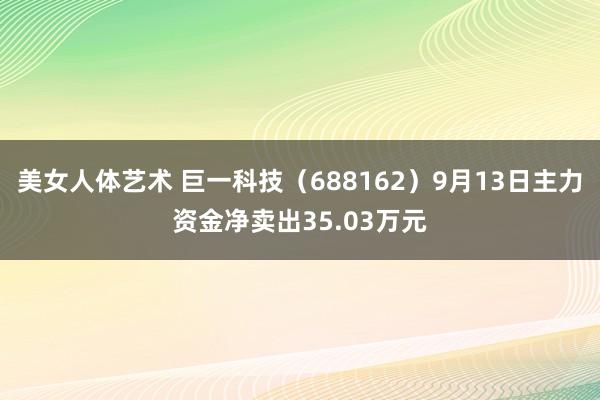 美女人体艺术 巨一科技（688162）9月13日主力资金净卖出35.03万元