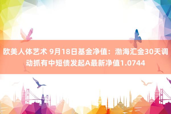 欧美人体艺术 9月18日基金净值：渤海汇金30天调动抓有中短债发起A最新净值1.0744