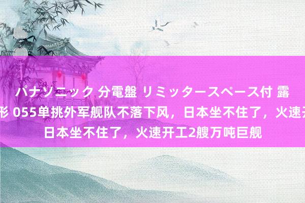 パナソニック 分電盤 リミッタースペース付 露出・半埋込両用形 055单挑外军舰队不落下风，日本坐不住了，火速开工2艘万吨巨舰
