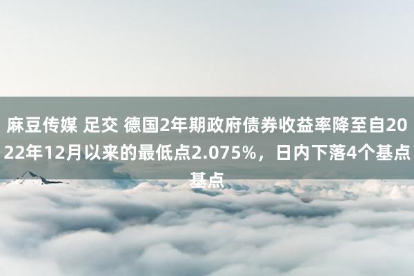 麻豆传媒 足交 德国2年期政府债券收益率降至自2022年12月以来的最低点2.075%，日内下落4个基点