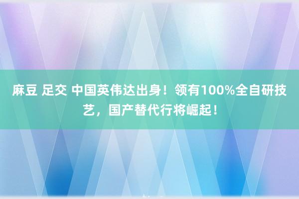 麻豆 足交 中国英伟达出身！领有100%全自研技艺，国产替代行将崛起！