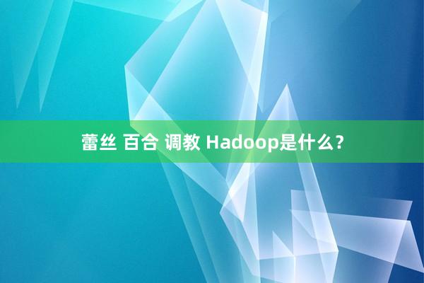 蕾丝 百合 调教 Hadoop是什么？