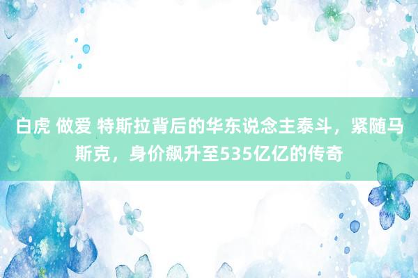 白虎 做爱 特斯拉背后的华东说念主泰斗，紧随马斯克，身价飙升至535亿亿的传奇