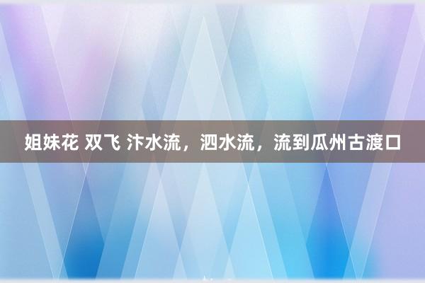 姐妹花 双飞 汴水流，泗水流，流到瓜州古渡口