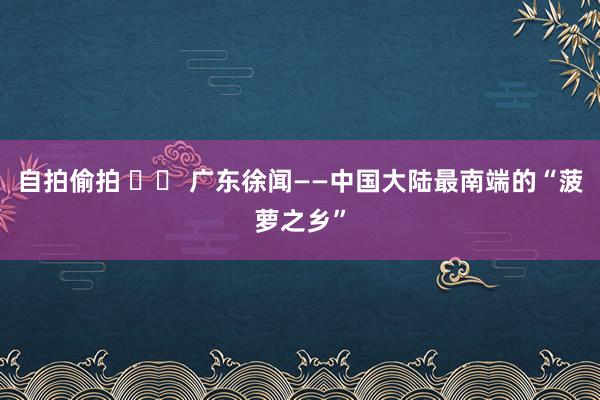 自拍偷拍 		 广东徐闻——中国大陆最南端的“菠萝之乡”