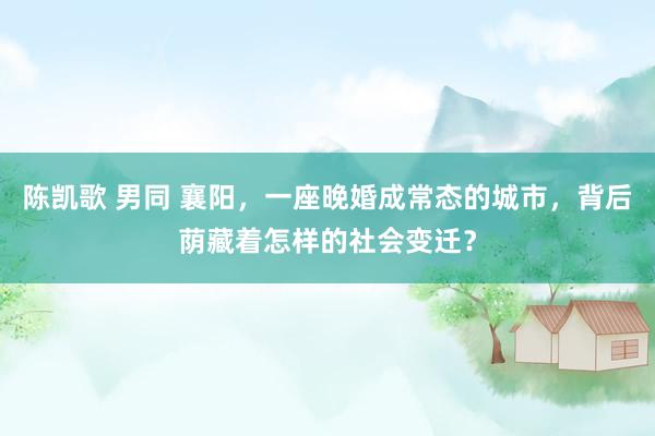 陈凯歌 男同 襄阳，一座晚婚成常态的城市，背后荫藏着怎样的社会变迁？