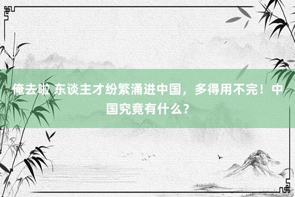 俺去啦 东谈主才纷繁涌进中国，多得用不完！中国究竟有什么？