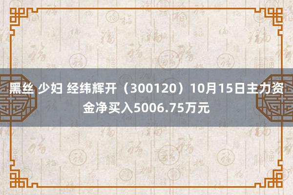 黑丝 少妇 经纬辉开（300120）10月15日主力资金净买入5006.75万元