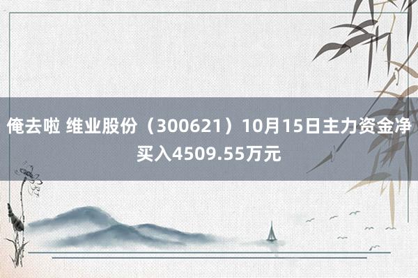 俺去啦 维业股份（300621）10月15日主力资金净买入4509.55万元