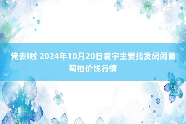 俺去l啦 2024年10月20日寰宇主要批发阛阓葡萄柚价钱行情