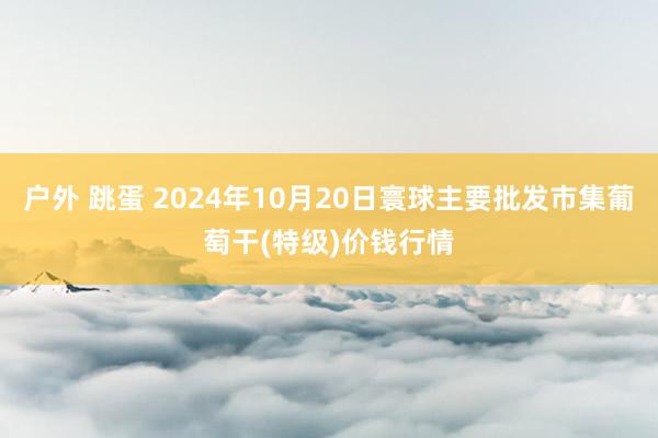 户外 跳蛋 2024年10月20日寰球主要批发市集葡萄干(特级)价钱行情