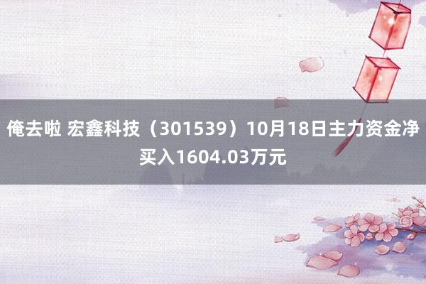 俺去啦 宏鑫科技（301539）10月18日主力资金净买入1604.03万元