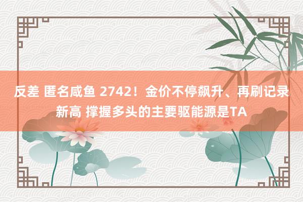 反差 匿名咸鱼 2742！金价不停飙升、再刷记录新高 撑握多头的主要驱能源是TA