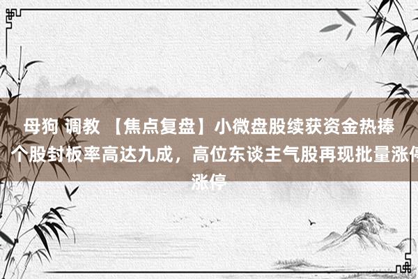 母狗 调教 【焦点复盘】小微盘股续获资金热捧，个股封板率高达九成，高位东谈主气股再现批量涨停