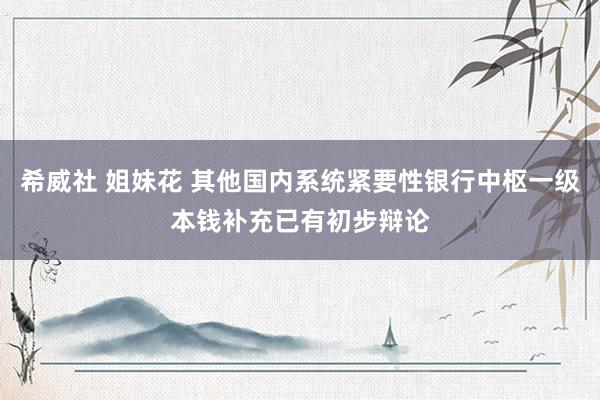 希威社 姐妹花 其他国内系统紧要性银行中枢一级本钱补充已有初步辩论