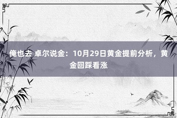 俺也去 卓尔说金：10月29日黄金提前分析，黄金回踩看涨