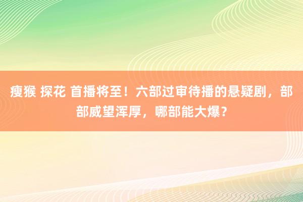 瘦猴 探花 首播将至！六部过审待播的悬疑剧，部部威望浑厚，哪部能大爆？