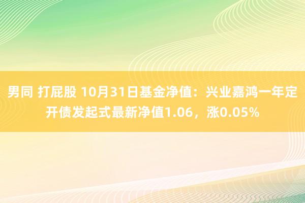 男同 打屁股 10月31日基金净值：兴业嘉鸿一年定开债发起式最新净值1.06，涨0.05%