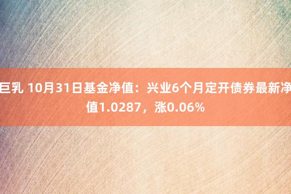 巨乳 10月31日基金净值：兴业6个月定开债券最新净值1.0287，涨0.06%