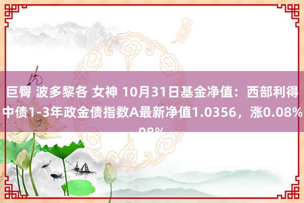 巨臀 波多黎各 女神 10月31日基金净值：西部利得中债1-3年政金债指数A最新净值1.0356，涨0.08%