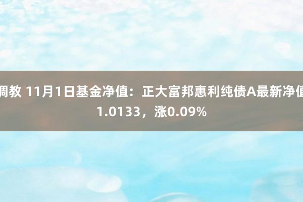 调教 11月1日基金净值：正大富邦惠利纯债A最新净值1.0133，涨0.09%