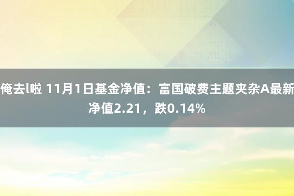 俺去l啦 11月1日基金净值：富国破费主题夹杂A最新净值2.21，跌0.14%