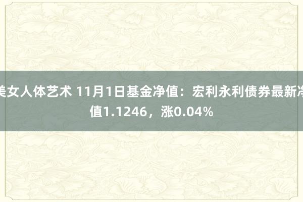 美女人体艺术 11月1日基金净值：宏利永利债券最新净值1.1246，涨0.04%