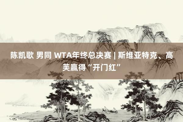 陈凯歌 男同 WTA年终总决赛 | 斯维亚特克、高芙赢得“开门红”