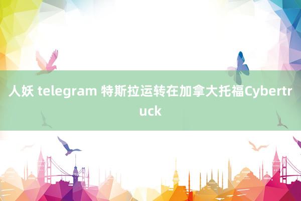 人妖 telegram 特斯拉运转在加拿大托福Cybertruck